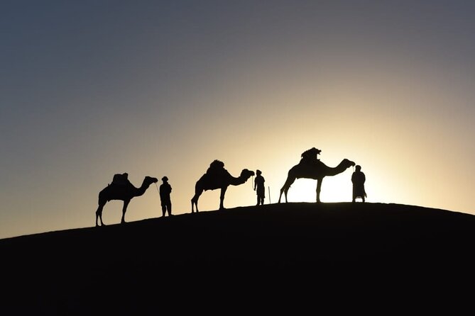 Marrakech-to-Fes: 3 Days-Tour-via-Merzouga-Desert-&-Camel-Trek - Accessibility and Infant Seats