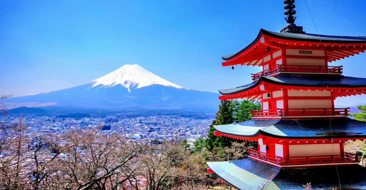 Mount Fuji and Hakone Full Day Private Tour - Oishi Park