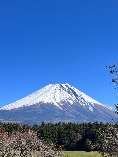 Mt. Fuji: 2-Day Climbing Tour - Preparing for the Challenging Climb