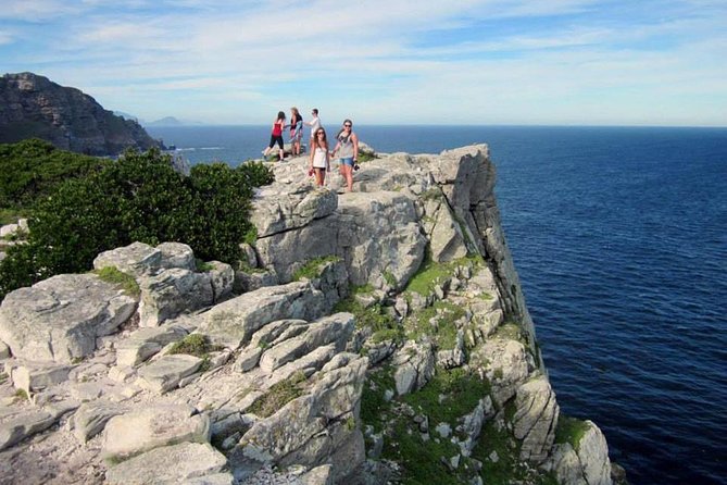 MUST Do: Cape Peninsula Tour & Good Hope From Cape Town! #1 Rated - How to Book the Tour