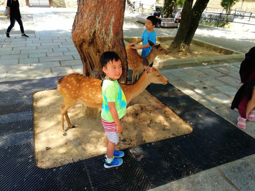 Nara: Nara Park Private Family Bike Tour With Lunch - Cancellation Policy