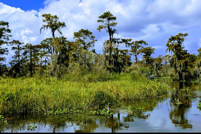 New Orleans Swamp Tour Boat Adventure With Transportation - Guided Swamp Cruise