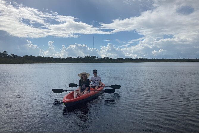 New Smyrna Dolphin and Manatee Kayak and SUP Adventure Tour - Wildlife Sightings and Ecology