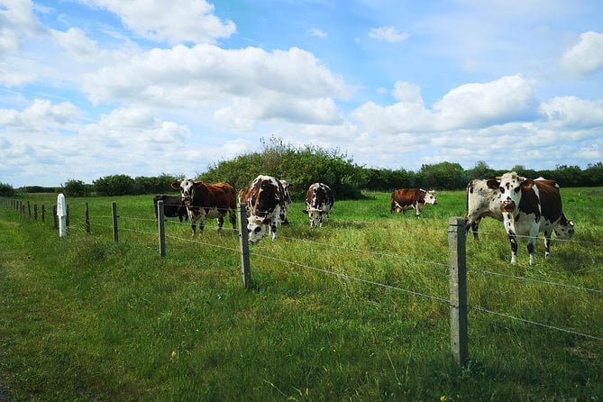 Normandy Battlefields Tour - American Sites (A3) - Additional Tour Details