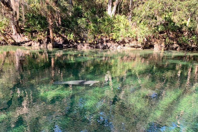 Orlando Manatee and Natural Spring Adventure Tour at Blue Springs - What to Bring and Wear