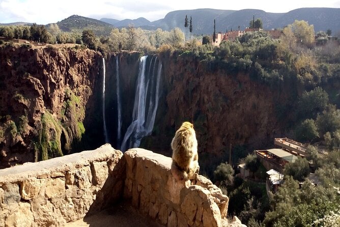 Ouzoud Waterfalls Full Day Trip From Marrakech - Waterfall Highlights