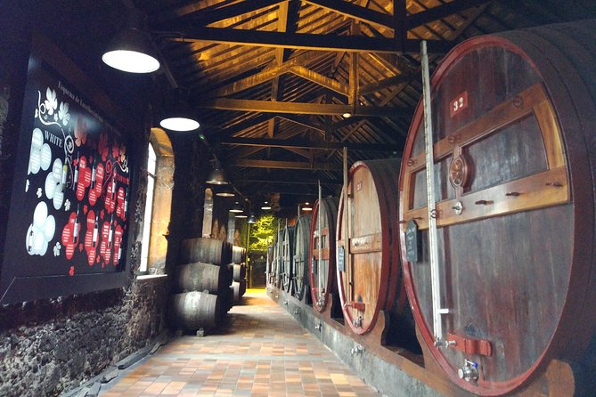 Port Wine Lodges Tour Including 7 Portwine Tastings (English) - Pairing Port With Food