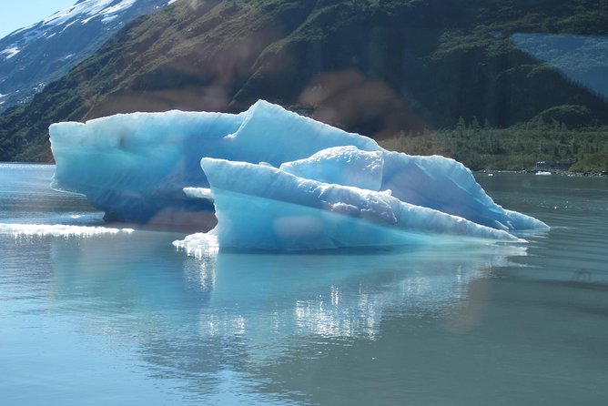 Portage Glacier Cruise and Wildlife Explorer Tour - Visit to Alaska Wildlife Conservation Center