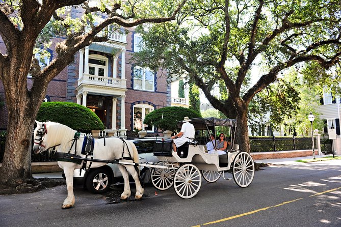 Private Daytime or Evening Horse-Drawn Carriage Tour of Historic Charleston - Weather Conditions and Accessibility