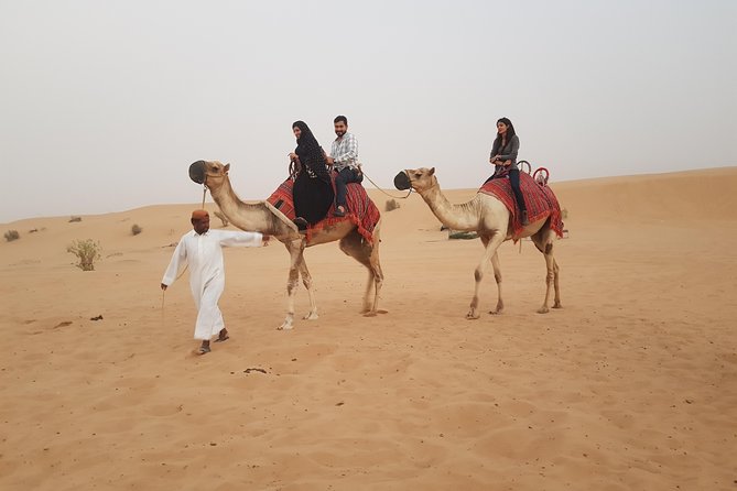 Private Desert Safari With Camel Ride and BBQ in Dubai - Traveler Recommendations