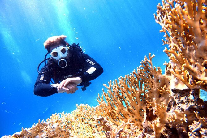 Private Diving Experience in The Heart of Red Sea in Aqaba - Restrictions and Medical Considerations