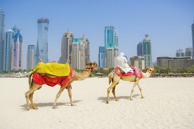 Private Half Day Modern Dubai City Tour With Lunch - Pickup and Accessibility Details