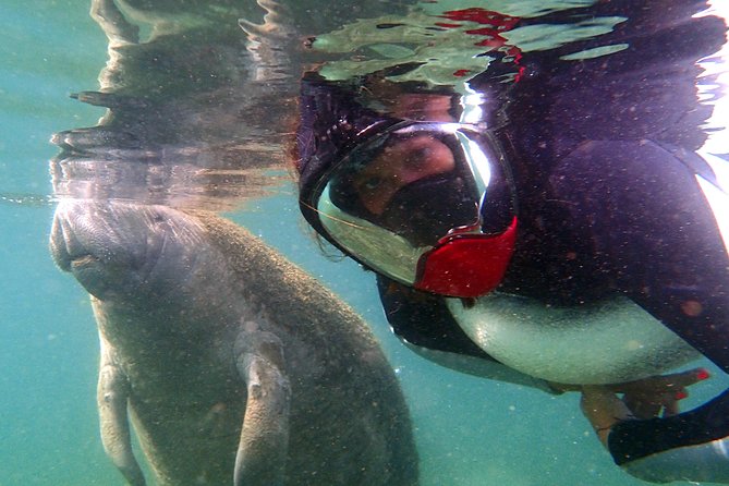 Private OG Manatee Snorkel Tour With Guide for up to 10 People - Family-Friendly Atmosphere