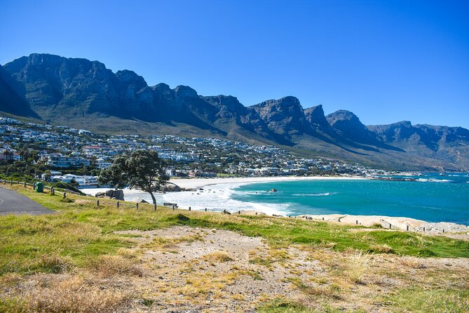 Private Tour: Cape of Good Hope & Boulders Beach Penguin Colony - Booking the Tour