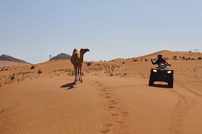 Red Dune Desert Safari Dubai (PREMIUM VIP) - Booking and Cancellation Policy