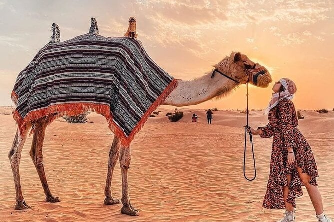 Red Dunes Safari With BBQ Dinner - Seamless Transportation and Logistics