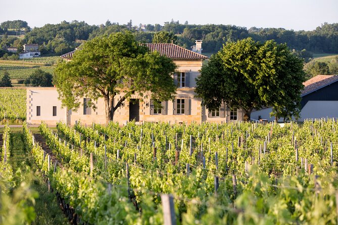 Saint Emilion Half-Day Trip With Wine Tasting & Winery Visit From Bordeaux - Wine Tasting at a Château