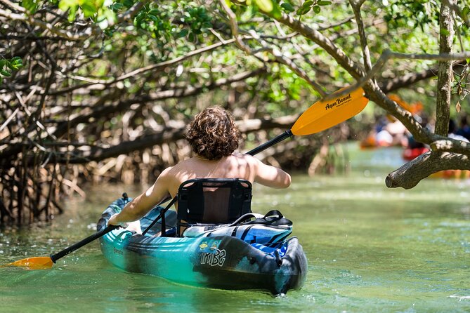 Sarasota Mangrove Tunnel Guided Kayak Adventure - Visitor Testimonials