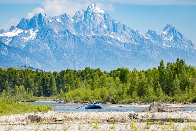 Scenic Wildlife Float in Jackson Hole - Informative Guide Expertise