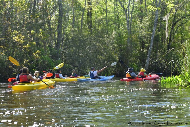 Self Guided Family Friendly Kayak Rental Experience Old Florida - Exploring the Shady Creek