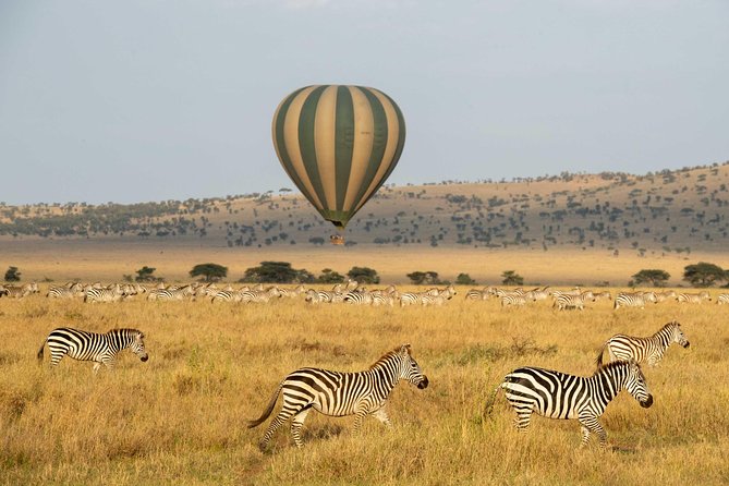 Serengeti Balloon Safari and Authentic Bush Breakfast - Restrictions and Considerations