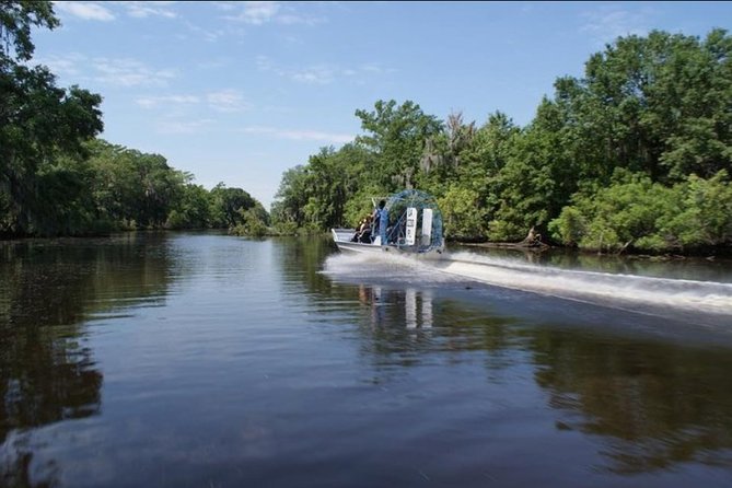 Small-Group Airboat Swamp Tour With Downtown New Orleans Pickup - Guest Testimonials