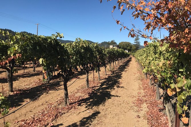 Small-Group Wine Country Tour From San Francisco With Tastings - Cancellation Policy