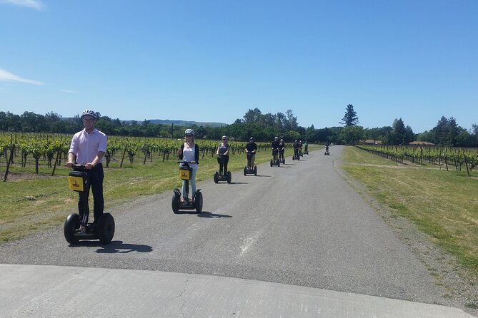 Sonoma County Wine Segway Tour - Picnic Lunch