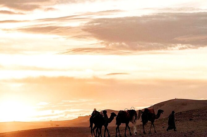 Sunset & Dinner in Desert Agafay Marrakech With Camels - Camel Ride Into the Desert