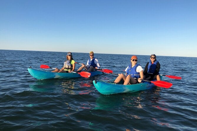 Sunset Dolphin Kayak Tours - Booking Information