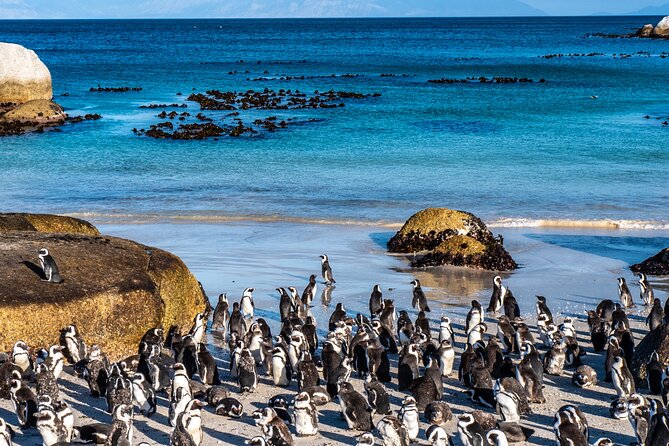 Table Mountain, Penguins & Cape Point Small Group Tour From Cape Town - Attractions Visited