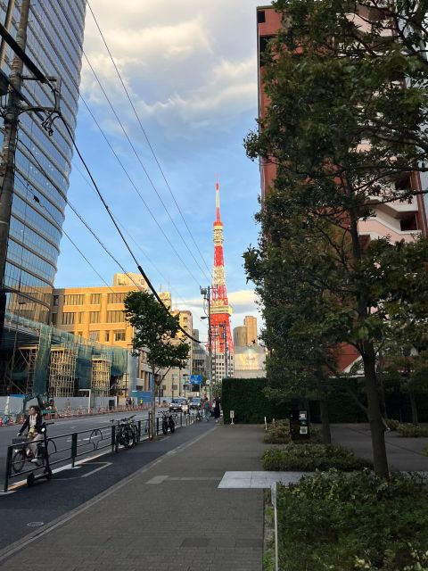 Tokyo City Walk Tour Visit Tokyo in One Day - Highlights: Meiji Shrine