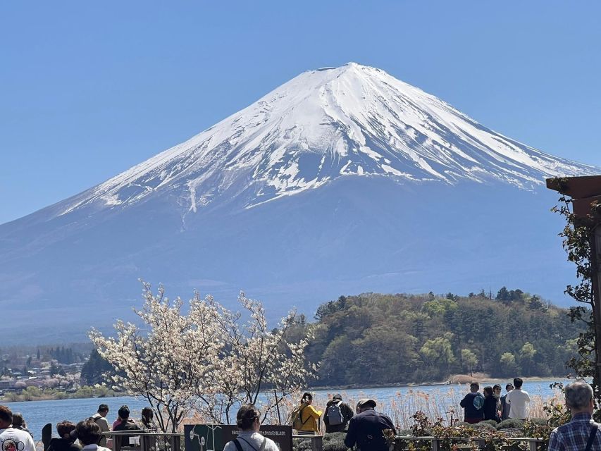 Tokyo: Mount Fuji Customizable Private Tour by Car - Frequently Asked Questions