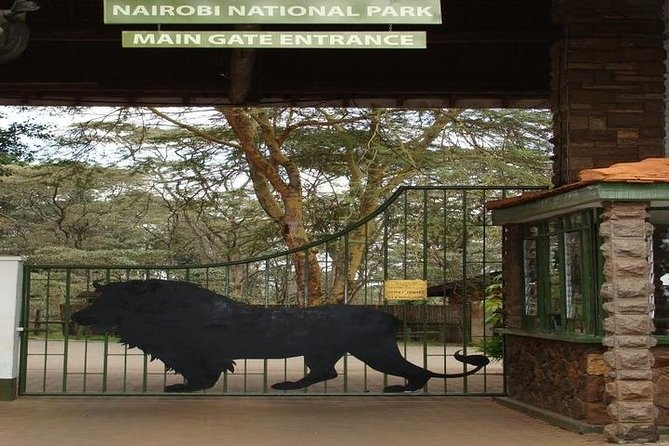 Tour: Giraffe Center and Nairobi National Park - Cancellation Policy