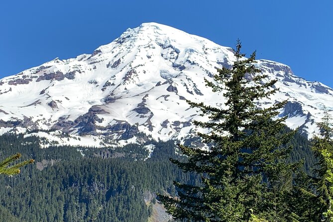 Touring and Hiking in Mt. Rainier National Park - Tour Requirements and Policies