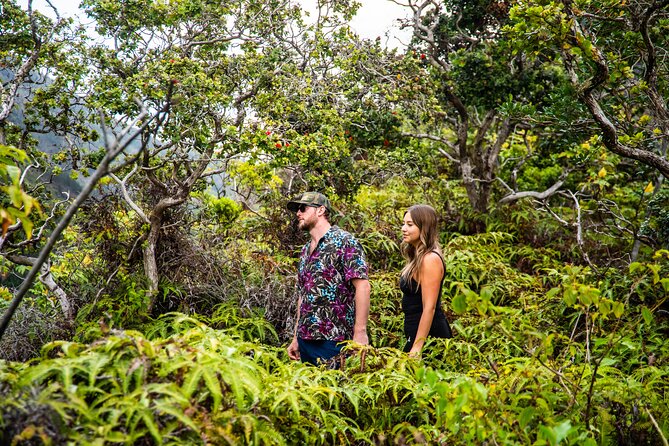 VIP Private Road to Hana Tour With Pick up - Positive Guest Testimonials