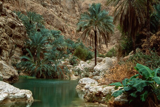 Wadi Shab and Bimmah Sinkhole Group Full Day Tour - Highlights of the Excursion