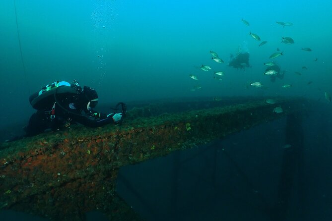 Wreck and Bridge Span Dive Charter for Certified Divers - Safety Considerations