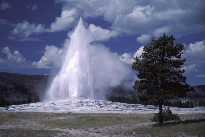 Yellowstone Lower Loop Full-Day Tour - Scenic Stops