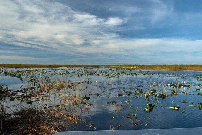1-Hour Air Boat Ride and Nature Walk With Naturalist in Everglades National Park - Customer Reviews