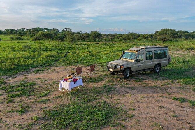 3-Day Classic Serengeti Safari - Accommodations