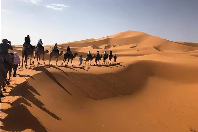 3-Day Sahara Desert To Merzouga From Marrakech - Trip Accessibility and Customization
