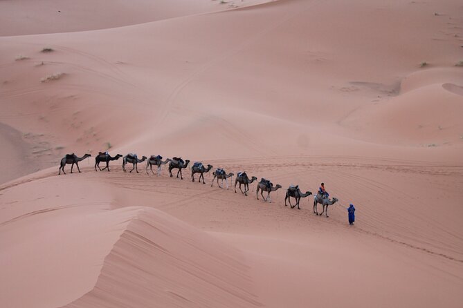 3-Days Morocco Desert Tour From Marrakech to Marzouga - Customer Feedback Analysis