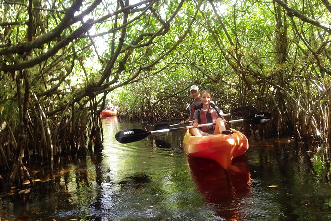 3 Hour Guided Mangrove Tunnel Kayak Eco Tour - Guided Kayak Adventure