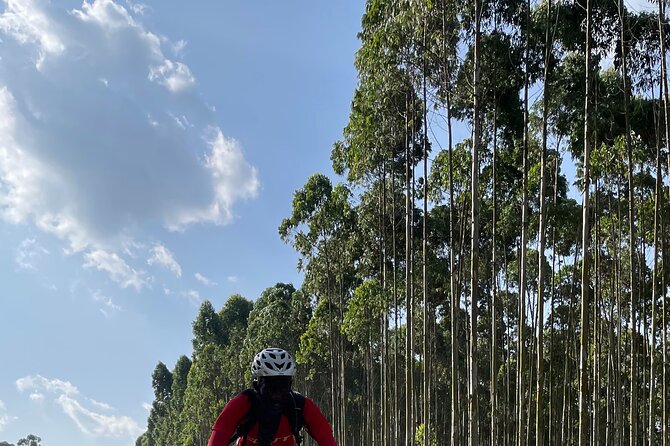 3 Hours Guided Cycling Tour Across Lake Victoria - Pricing Information