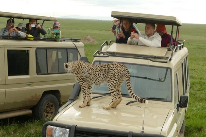 4 Days Join Group Tour Tarangire Serengeti and Ngorongoro Crater - Group Size and Accessibility