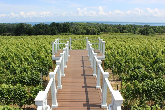 5-Hour Traverse City Wine Tour: 4 Wineries on Old Mission Peninsula - Recommendations for Travelers