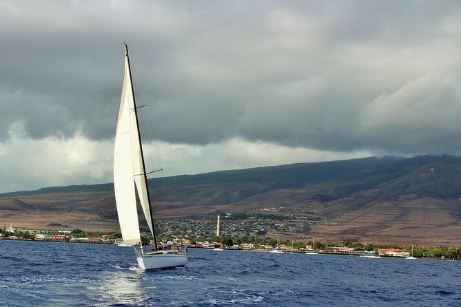 Adventure Sail From Lahaina Harbor - Accessibility and Recommendations