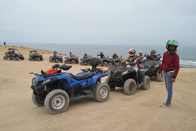Agadir ATV Quad Wild Beach Dunes & Forest in the Heart of Agadir - Tour Highlights
