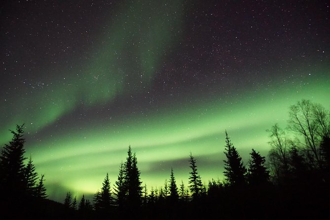 Arctic Circle and Northern Lights Tour From Fairbanks - Arctic Circle Experience